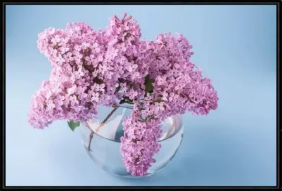 Картина Сирень в круглой вазе