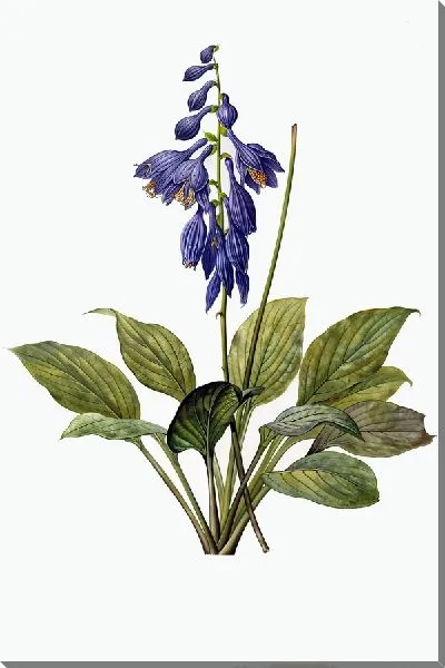 Картина маслом Сирень с листьями