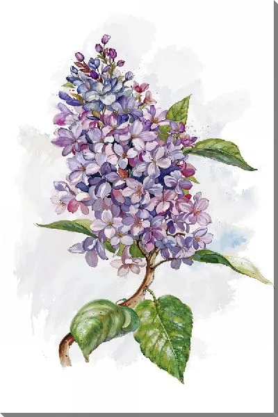 Картина маслом Сирень №2