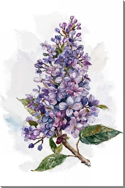 Картина маслом Сирень №31