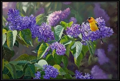 Картина Птица на ветках сирени