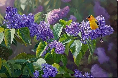 Постер Птица на ветках сирени