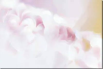 Божья коровка на цветках сирени