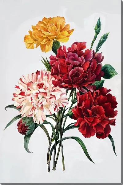 Картина маслом Букет гвоздик