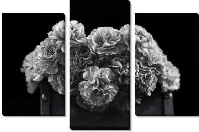 Ч/б гвоздики