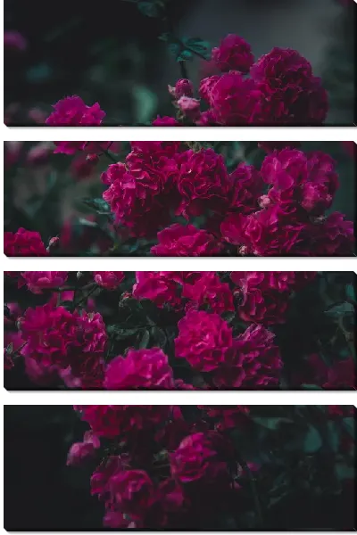 Модульная картина Куст с гвоздиками