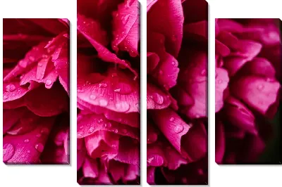 Модульная картина Макро гвоздика