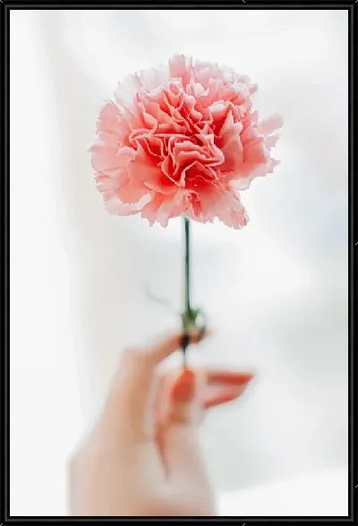 Картина Гвоздика в руке