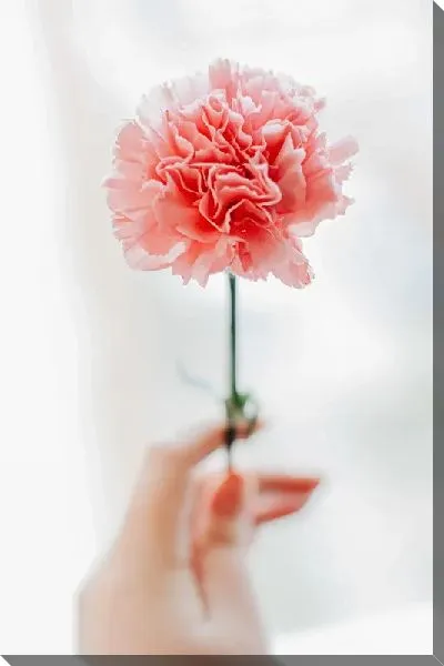Постер Гвоздика в руке