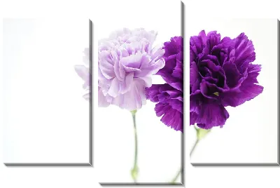 Модульная картина Сиреневые гвоздики