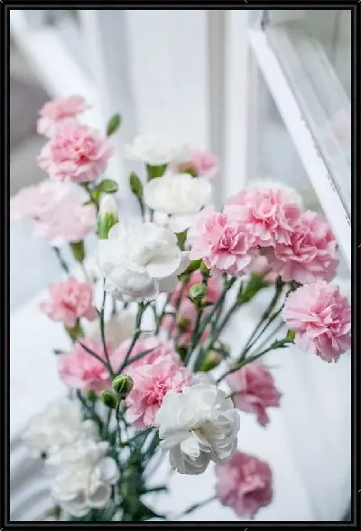 Картина Гвоздики у окна