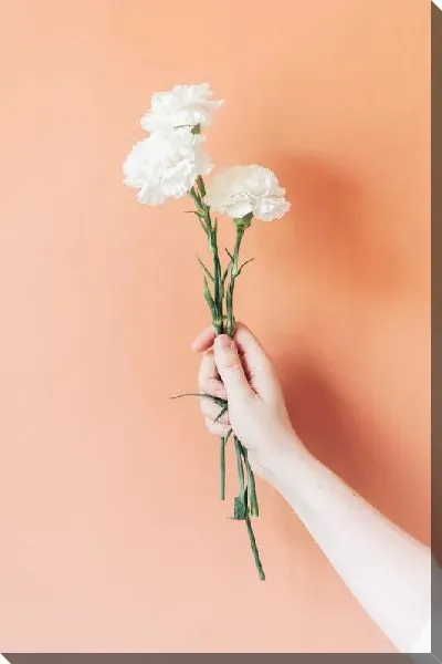 Постер Три гвоздики в руке