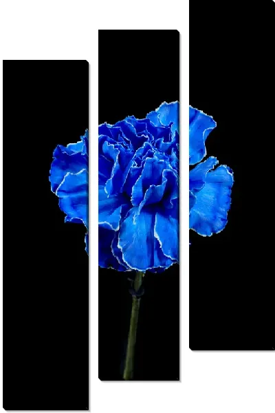 Модульная картина Синяя гвоздика