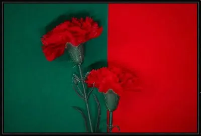 Две алых гвоздики