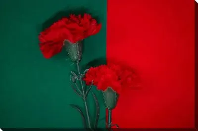 Две алых гвоздики