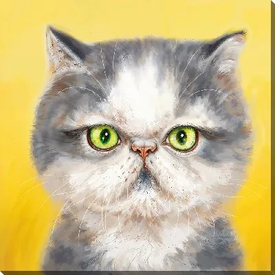 Картина маслом Серьезный котик