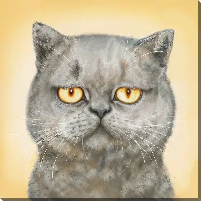 Картина маслом Хмурый серый кот