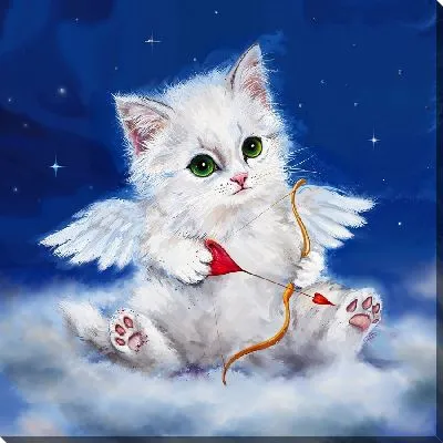 Кот-ангел