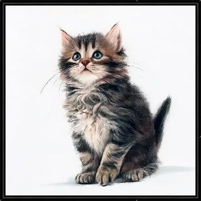 Картина Игривый котик