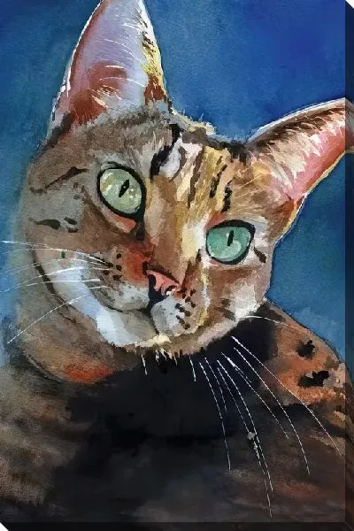 Постер Бенгальская кошка