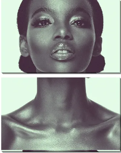 Модульная картина Африканка в стиле сепия