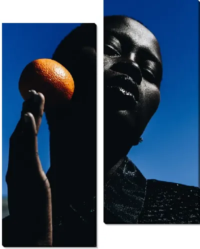 Модульная картина Африканка и мандарин