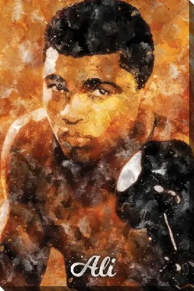 Постер Али