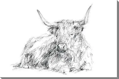 Картина маслом Бык №4