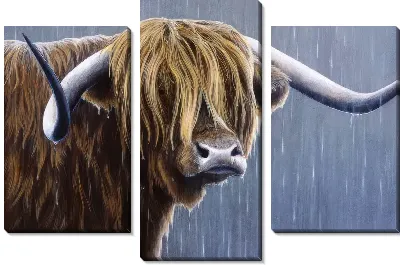 Модульная картина Бык под дождем