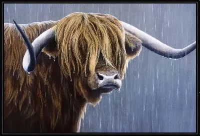 Картина Бык под дождем