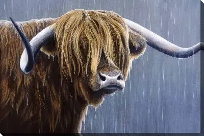 Картина маслом Бык под дождем