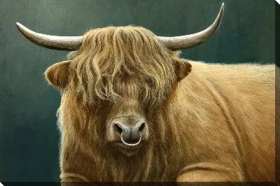 Картина маслом Бык №18