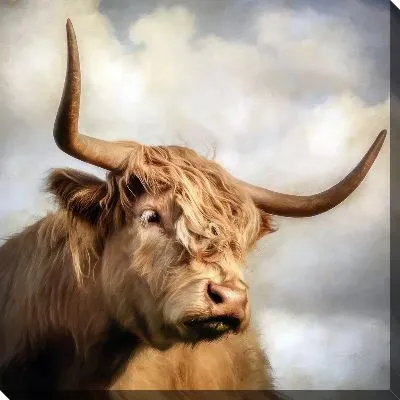 Картина маслом Бык №221