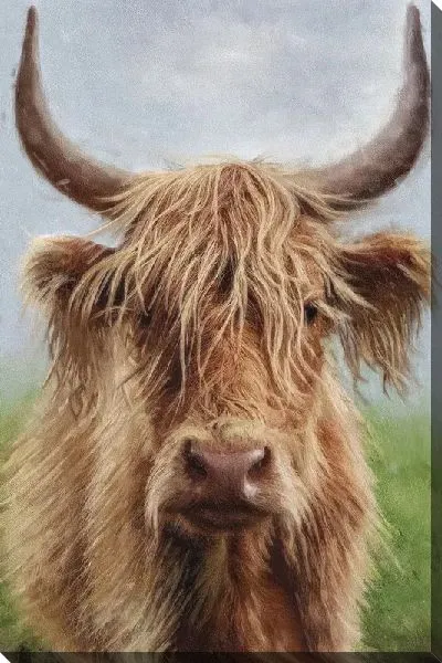 Картина маслом Бык №251