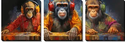 Модульная картина Три обезьяны слушают музыку №14