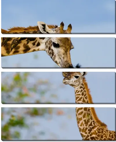 Модульная картина Поцелуй жирафа