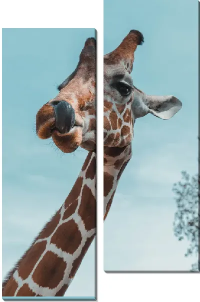 Модульная картина Жираф с языком