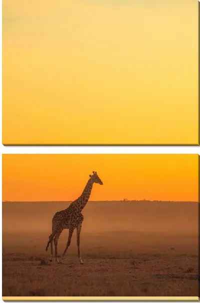 Модульная картина Закат и жираф
