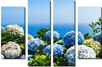 Модульная картина Гортензии на фоне моря
