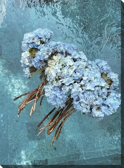 Постер Гортензия под водой