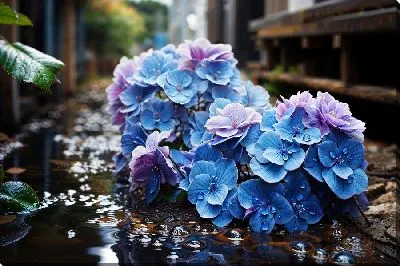 Картина маслом Гортензии с водой