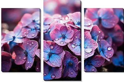 Модульная картина Макро гортензии №5