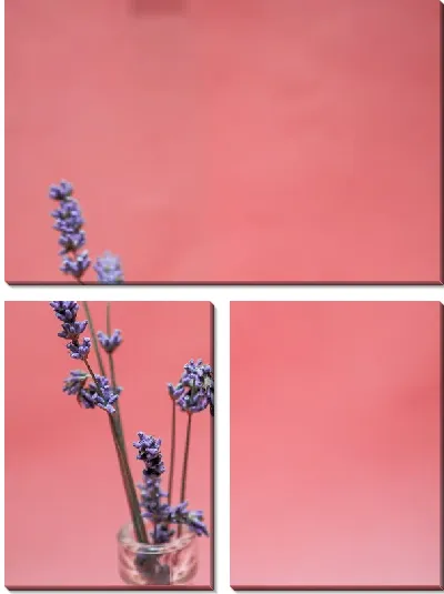 Модульная картина Лаванда №94