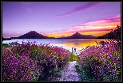 Лаванда на фоне горного озера и гор