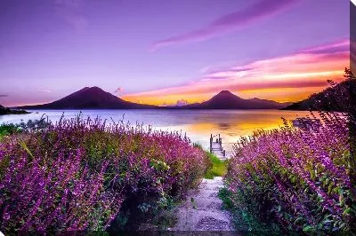 Лаванда на фоне горного озера и гор