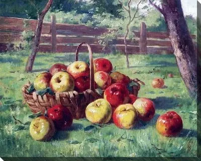 Яблоки (Apple)