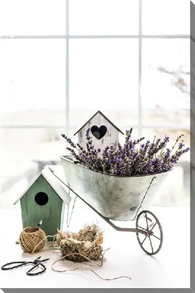 Постер Лаванда в тачке