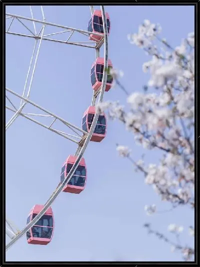 Картина Колесо обозрения и сакура