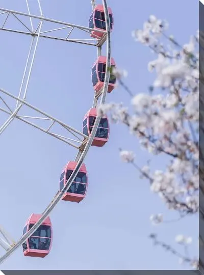 Постер Колесо обозрения и сакура