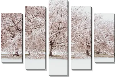 Зимняя сакура